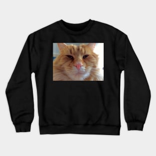 OllieBear Ginger Kitty Cat Crewneck Sweatshirt